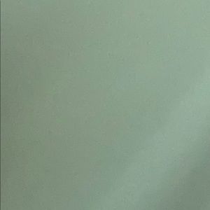 Meet your Posher, Bailey